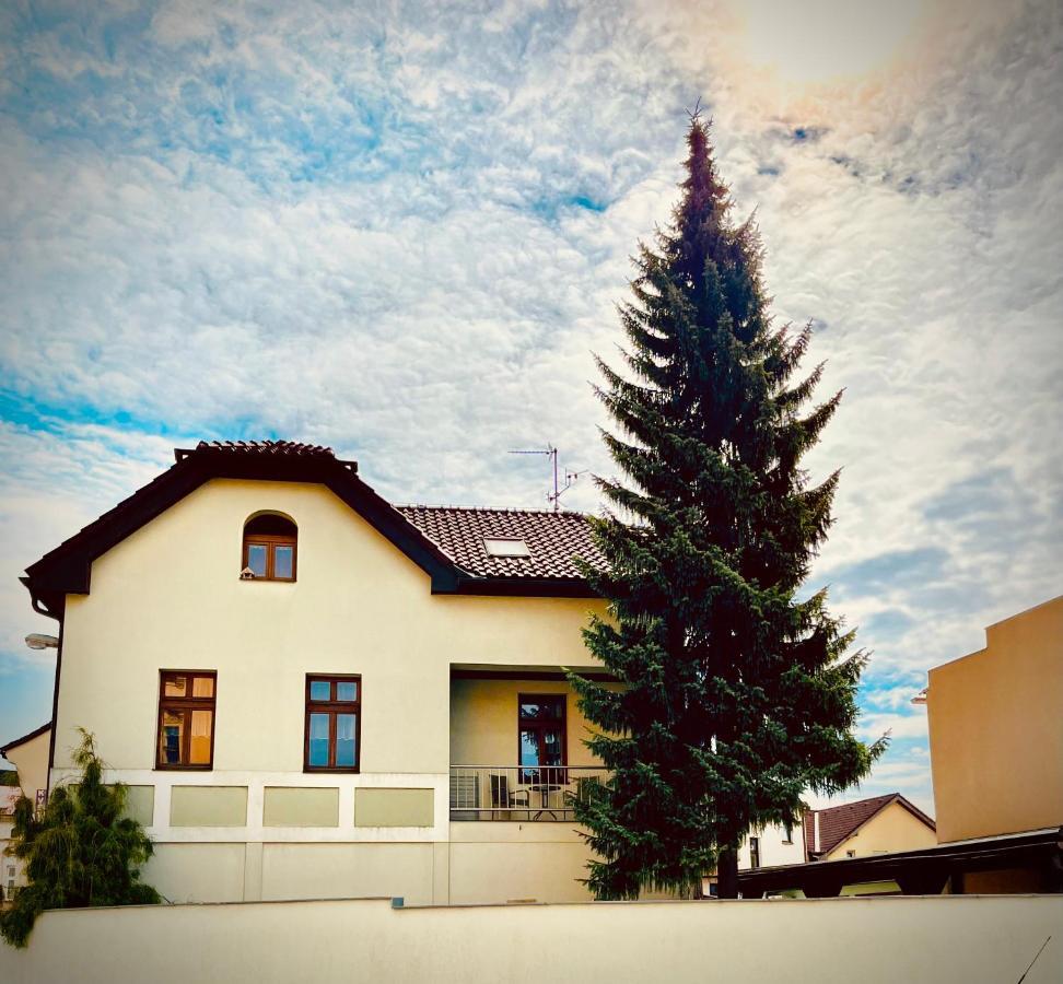 Apartman U Smrku Dvůr Králové nad Labem Exteriör bild